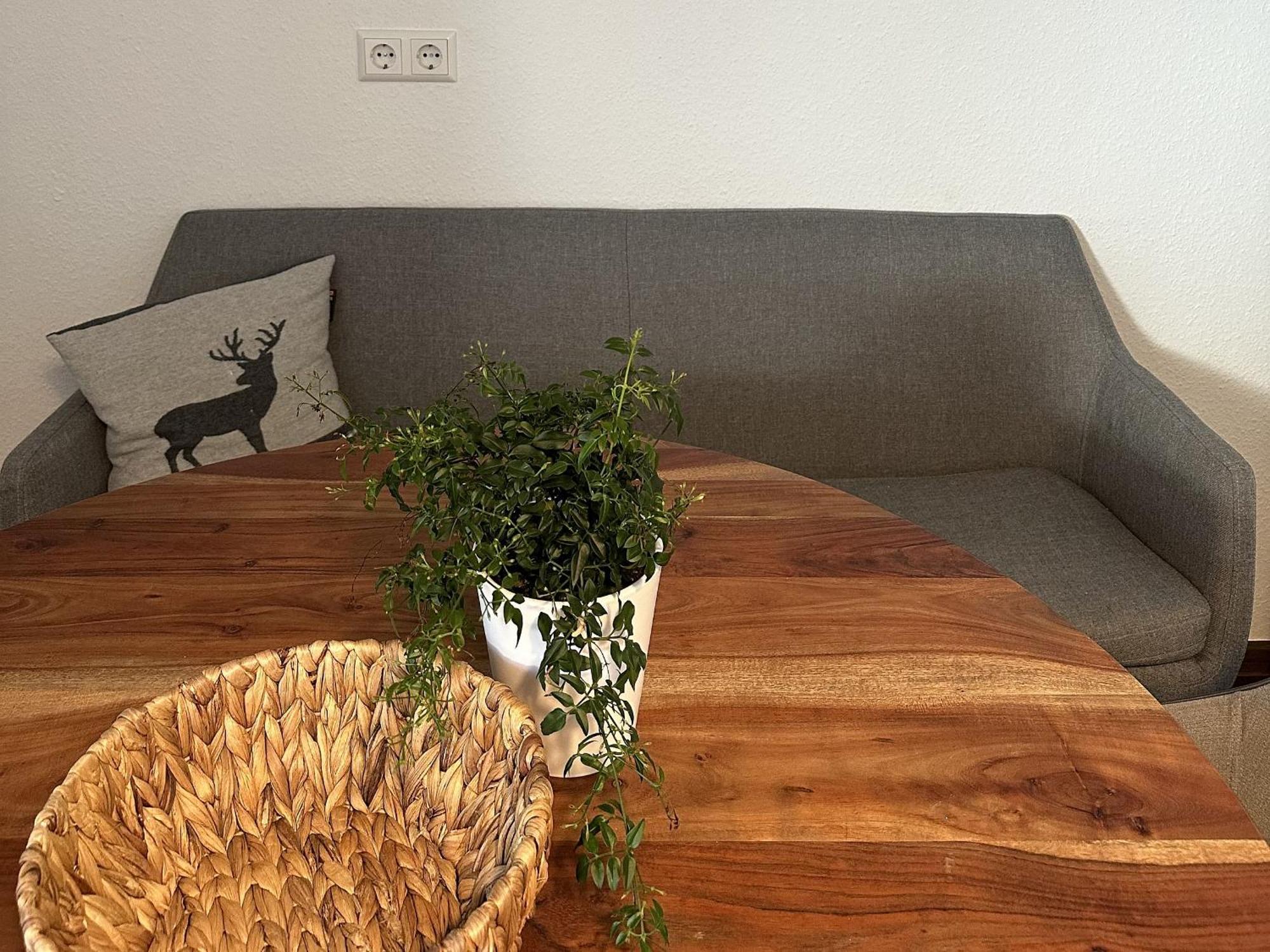 Apartamento Haus Albi Waldkirch Exterior foto